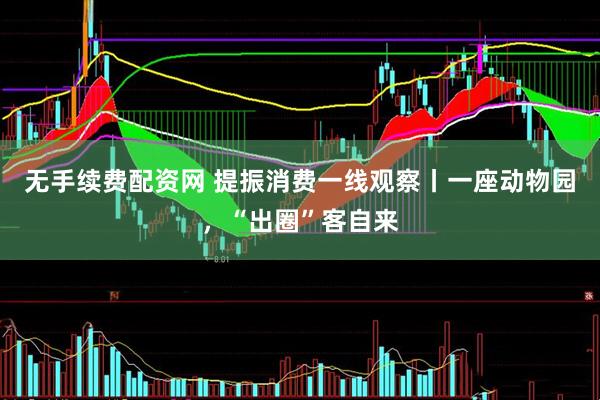 无手续费配资网 提振消费一线观察丨一座动物园，“出圈”客自来