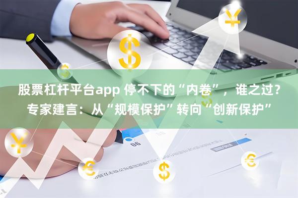 股票杠杆平台app 停不下的“内卷”，谁之过？专家建言：从“规模保护”转向“创新保护”