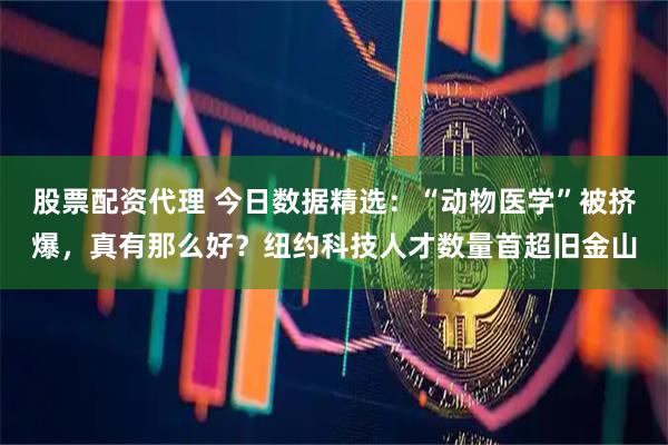 股票配资代理 今日数据精选：“动物医学”被挤爆，真有那么好？纽约科技人才数量首超旧金山